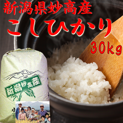 食品 米 新品得価 新米・令和4年産玄米新潟コシヒカリ30kg（10kg×3）精米無料 